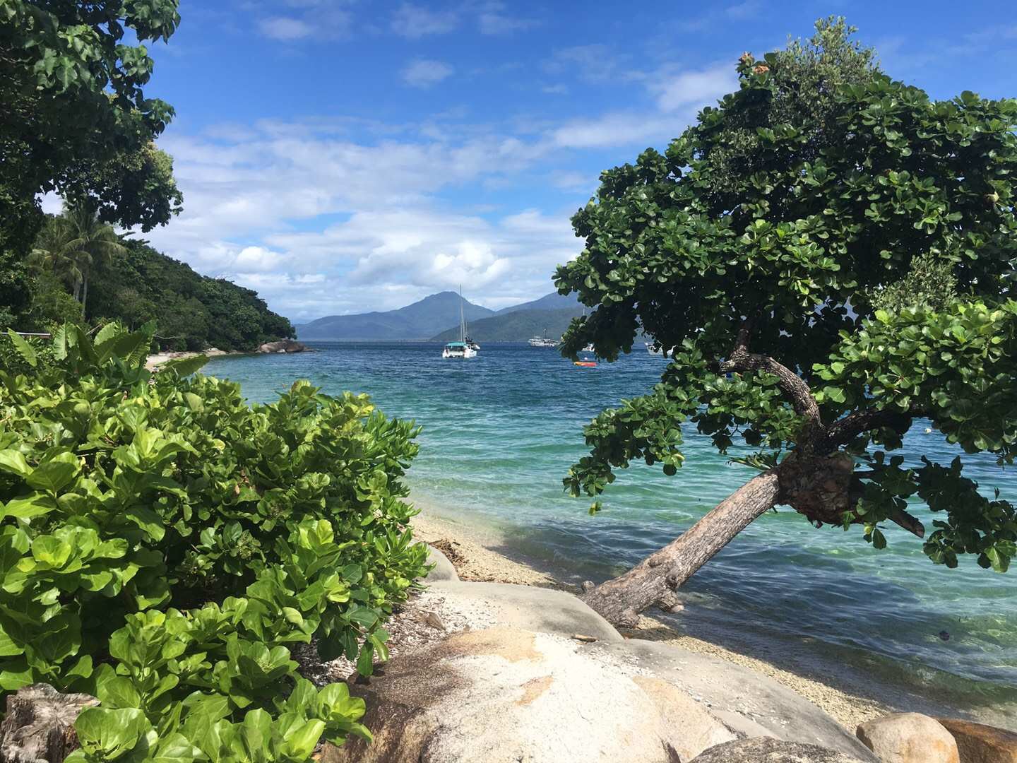 澳洲旅游禁令还剩3天！澳洲院校信息更新！