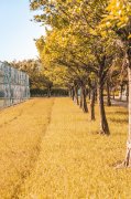 加拿大留学申请材料清单：一份不落，轻松搞定