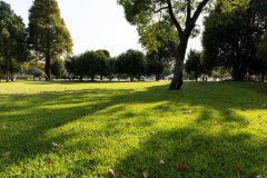 亚洲留学回国后：学历认可度真的不如欧美吗？