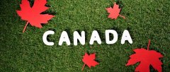 这两类人申请加拿大留学将无需PAL、不受学签配额限制，甚至可享两周快速审批