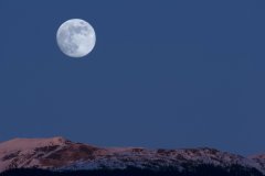 2026考研VS出国留学：卷到飞起的年代，哪条路才是你的“上岸”最优解？