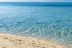 “水硕”骂战又升级？一年制留学硕士：我真不是花钱买文凭的